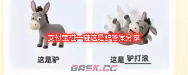 支付宝碰一碰这是驴答案分享