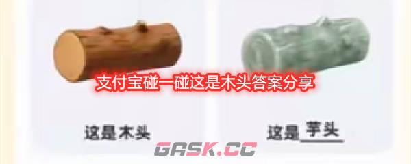 支付宝碰一碰这是木头答案分享-第1张-手游攻略-GASK