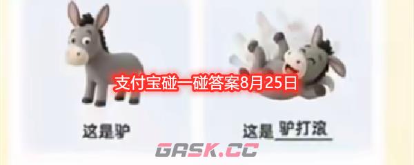 支付宝碰一碰答案8月25日