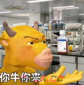 牛来表情包图片大全-第5张-手游攻略-GASK