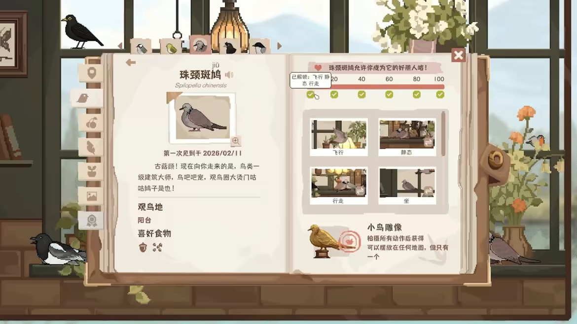 《观鸟笔记》游戏特色内容介绍-第9张-单机攻略-GASK
