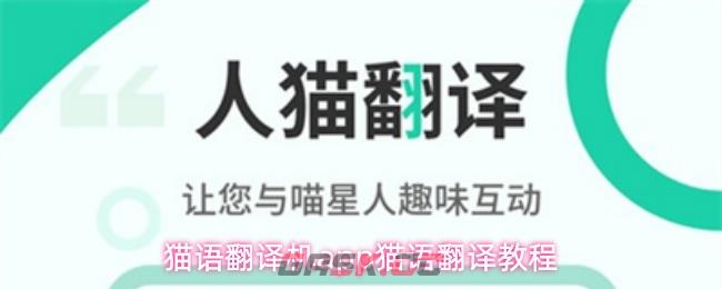猫语翻译机app猫语翻译教程