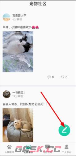 猫语翻译机app动态发布教程-第2张-手游攻略-GASK