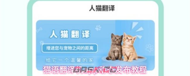 猫语翻译机app动态发布教程-第1张-手游攻略-GASK