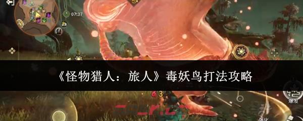 《怪物猎人：旅人》毒妖鸟打法攻略