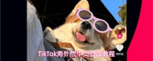 TikTok海外版中文修改教程