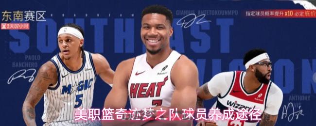 美职篮奇迹梦之队球员养成途径