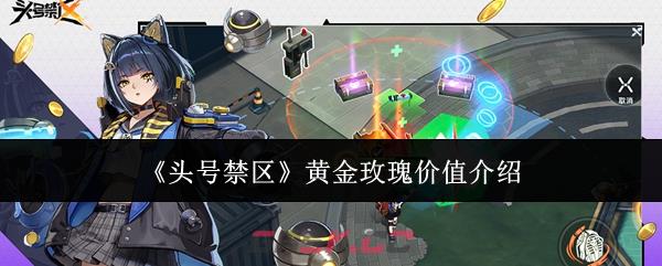《头号禁区》黄金玫瑰价值介绍
