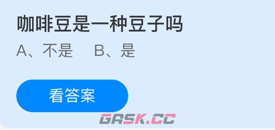 咖啡豆是一种豆子吗